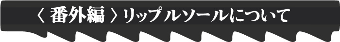 リップルソールについて